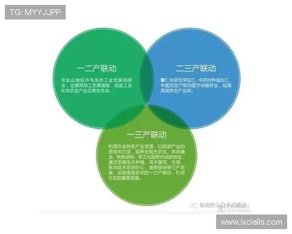 开云体育官网中国：打造多元化体育内容生态体系的战略布局与实施路径